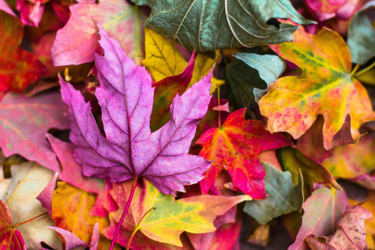 October