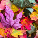 October